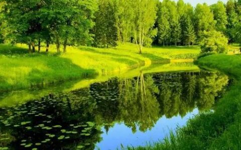 保护环境的优美句子（保护环境呼吁一小段话）