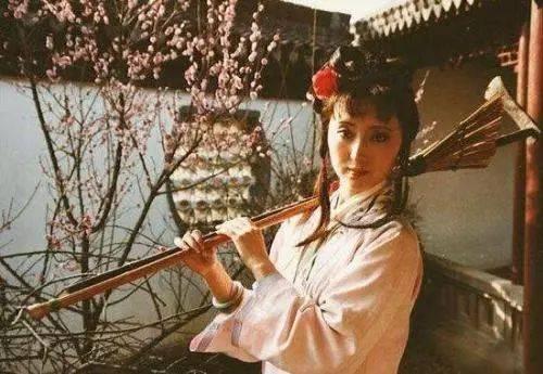 葬花吟原文赏析（红楼梦葬花吟赏析）