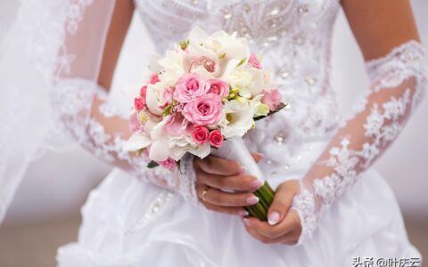 形容玫瑰的词语（赞美玫瑰花的优美短句）