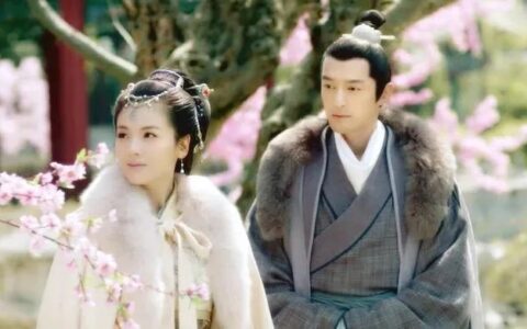 关于回眸一笑的唯美句子（形容女子气质清雅诗句）