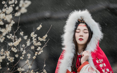 古风词语唯美简短意境（古典唯美诗意的句子）