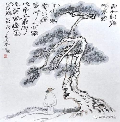 小松古诗词赏析（古诗小松拼音版）