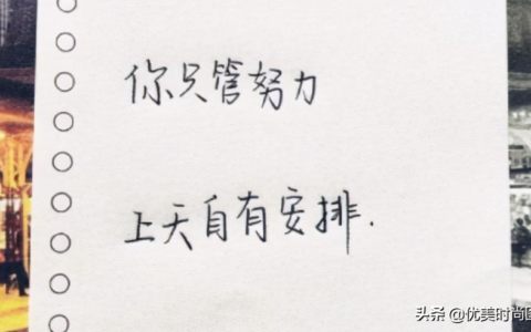 描写学生努力奋斗的句子（形容让学生努力拼搏的句子）