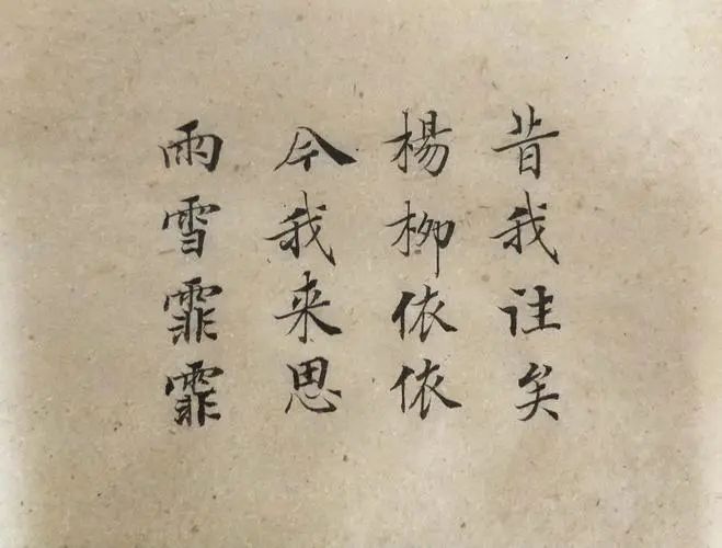 描写柳树的优美句子（赞美河边垂柳的诗句）