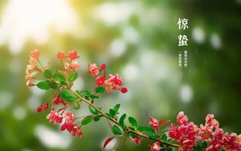 惊蛰节气的古诗有哪些（惊蛰的著名诗句欣赏）