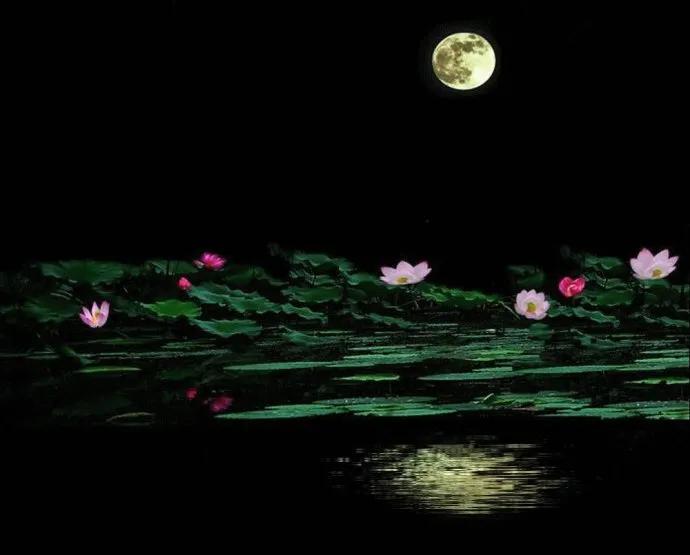 古诗词名句唯美（古诗词名句唯美七言）