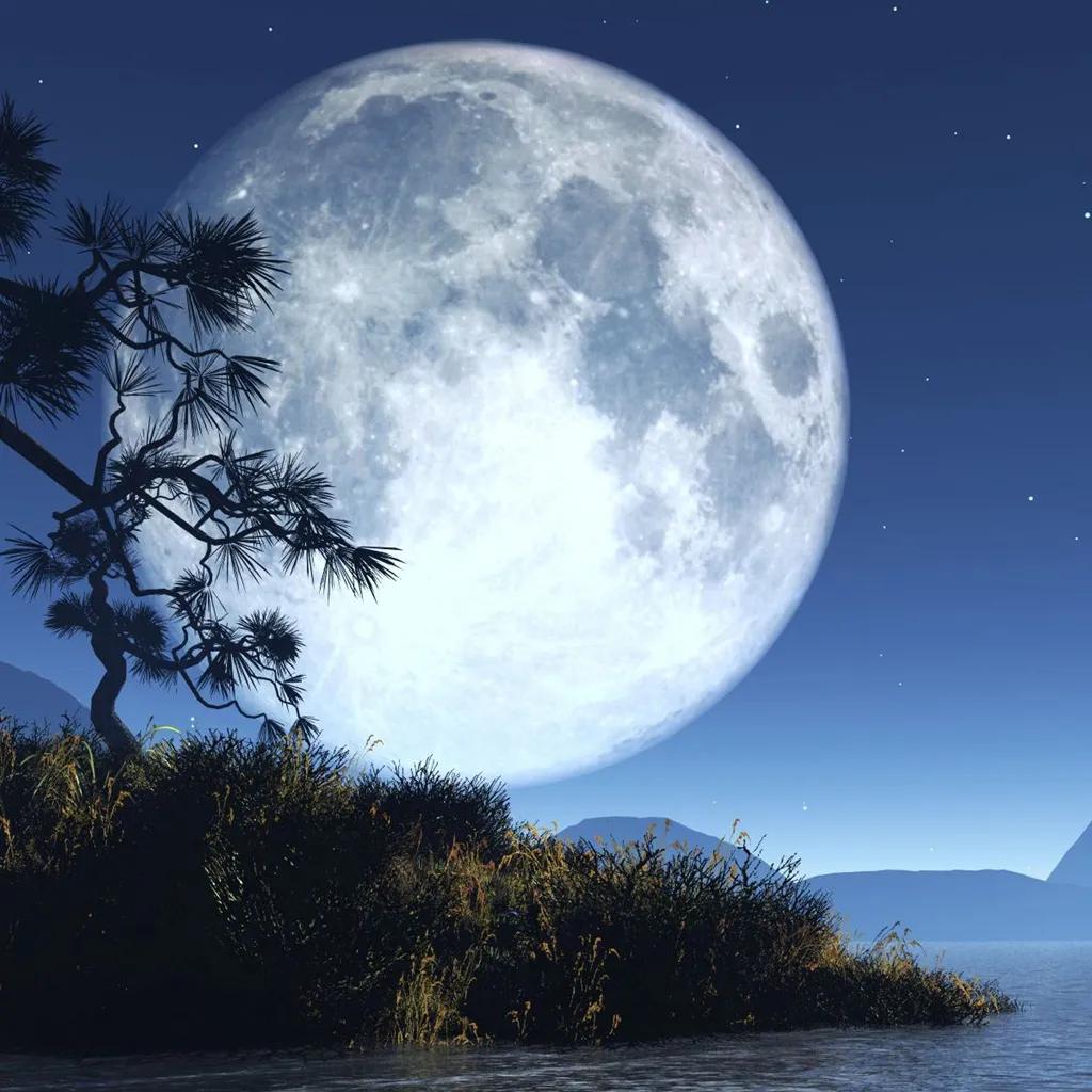 古诗词名句唯美（古诗词名句唯美七言）