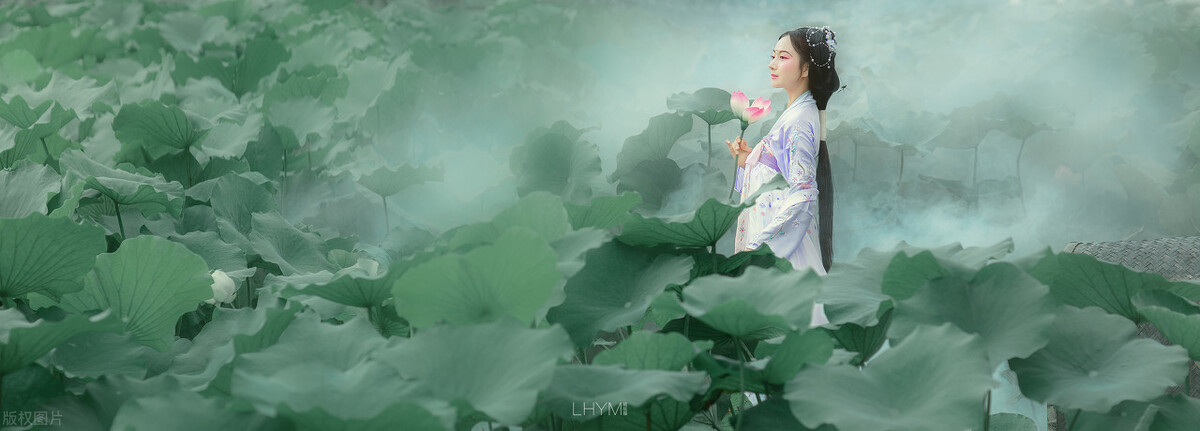 怀渑池寄子瞻兄赏析（和子由渑池怀旧赏析人生哲理）