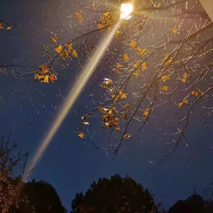 时光荏苒岁月如梭的唯美句子（一种年龄一种心境一种领悟）