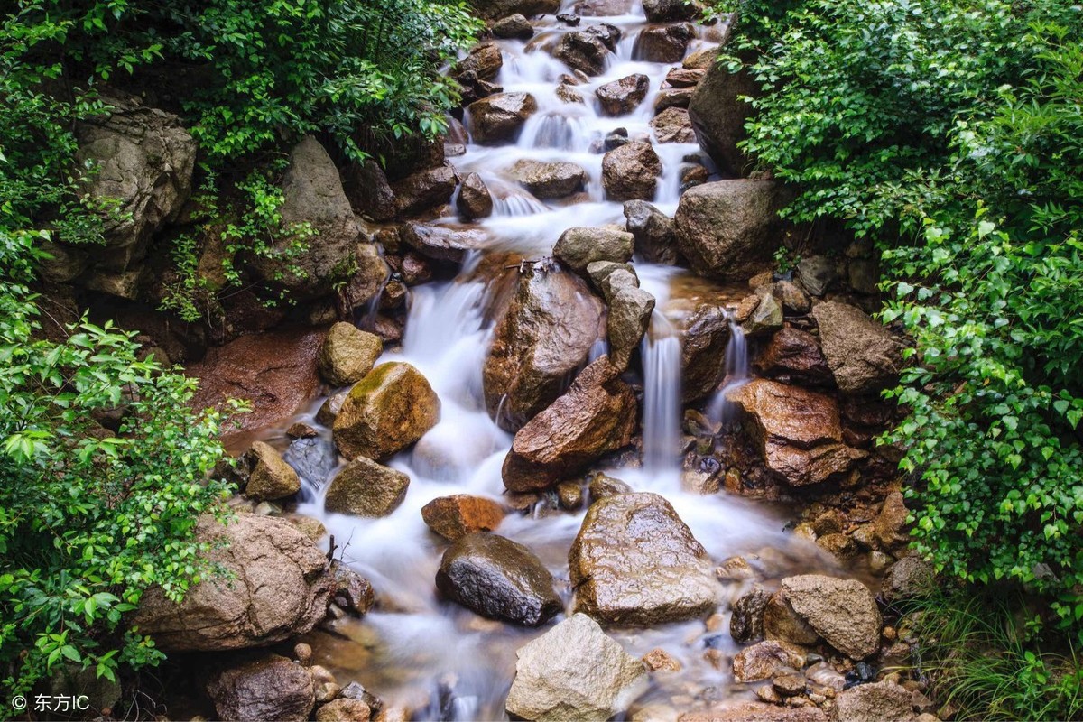 清平乐村居的翻译（清平乐村居注音版译文）