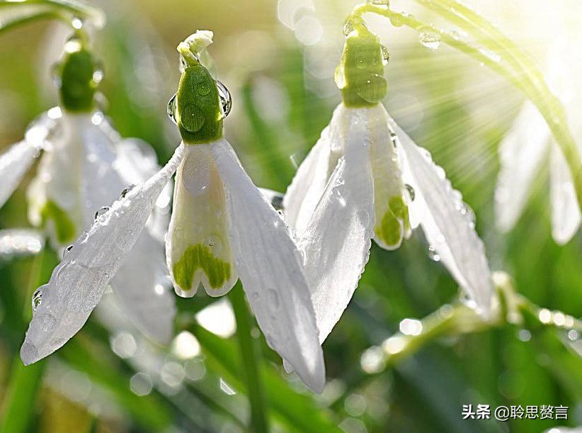 祝寿四言八句顺口溜大全（适合老人过寿的诗句）