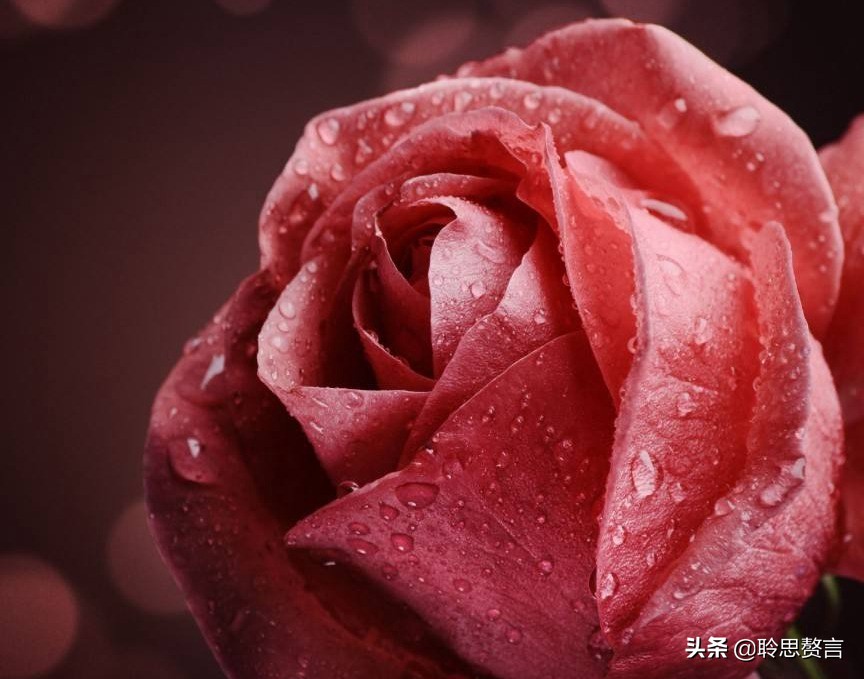 祝寿四言八句顺口溜大全（适合老人过寿的诗句）