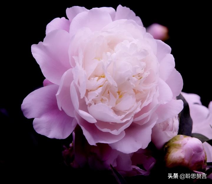 祝寿四言八句顺口溜大全（适合老人过寿的诗句）