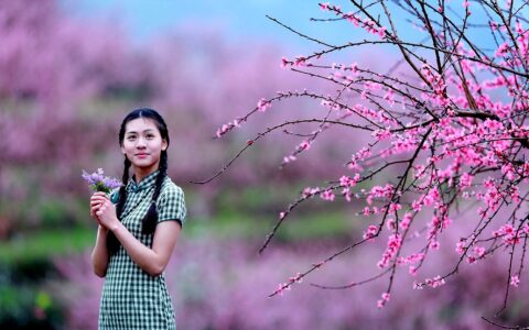 关于踏青游玩的美句（郊外踏春唯美句子）