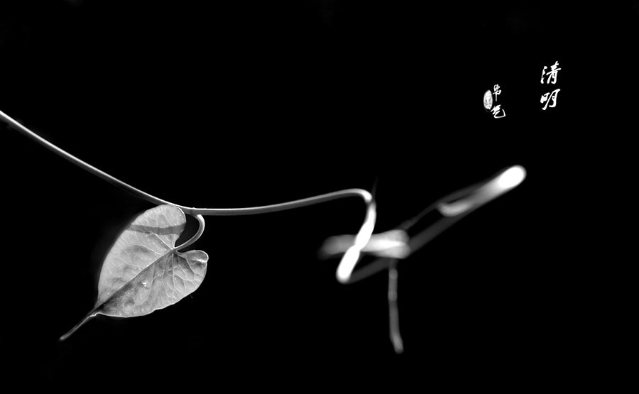 关于踏青游玩的美句（郊外踏春唯美句子）