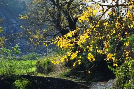 形容喝酒的诗词（形容喝酒尽兴的诗句）