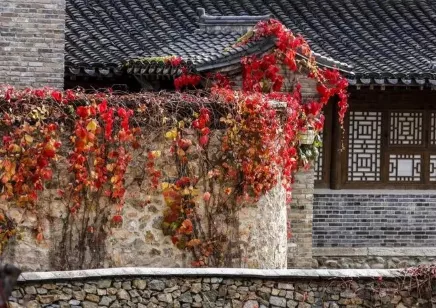 形容喝酒的诗词（形容喝酒尽兴的诗句）