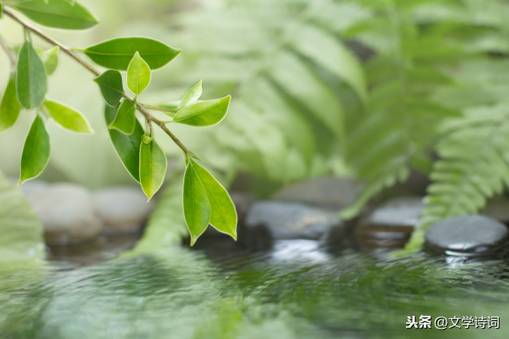 放言五首其三翻译(放言五首白居易其三)