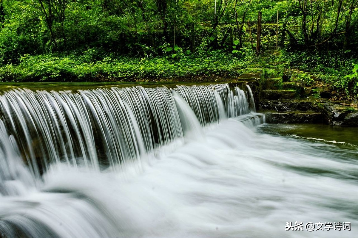 放言五首其三翻译(放言五首白居易其三)