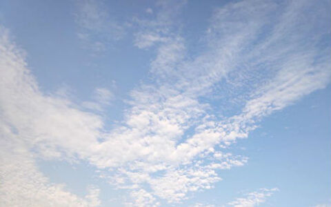 关于劳动节的名言（劳动的句子唯美简短）