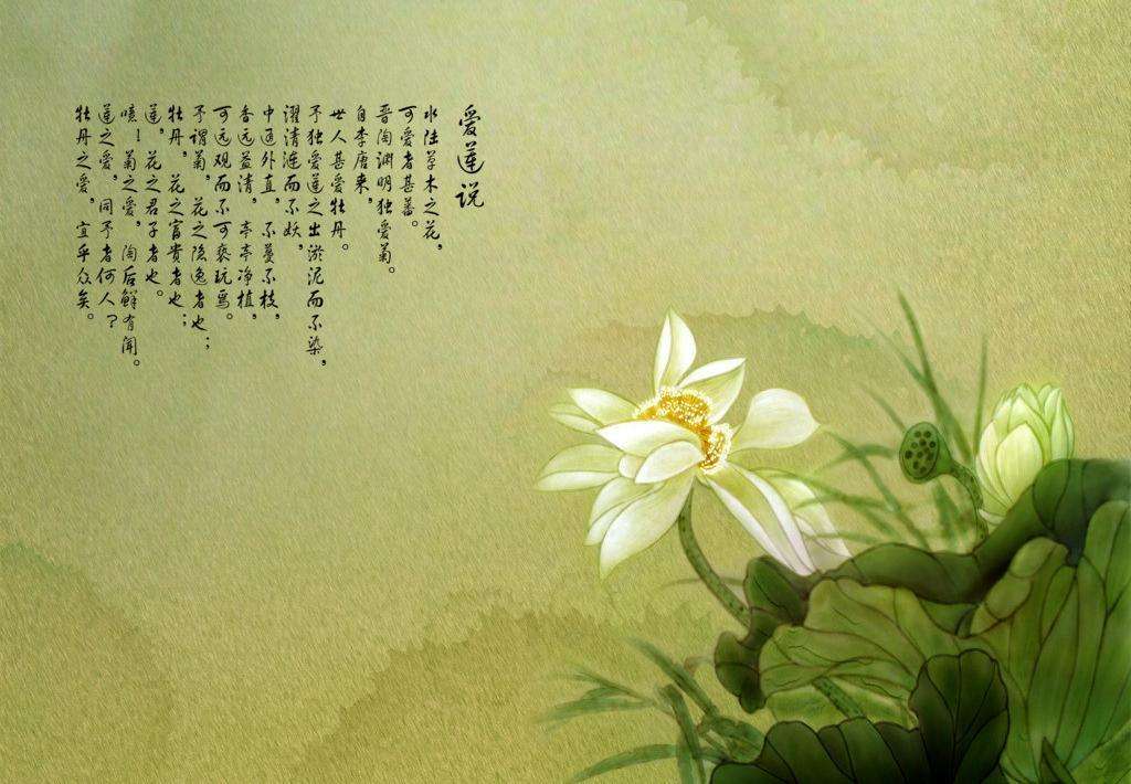 爱莲说拼音版原文（爱莲说原文及翻译拼音）