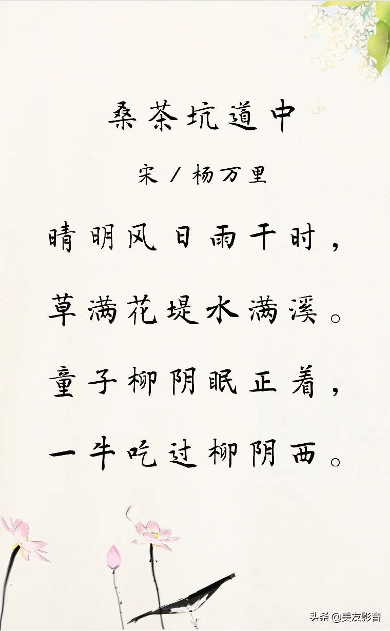 桑茶坑道中古诗意思解释（桑茶坑道中古诗拼音版译文）