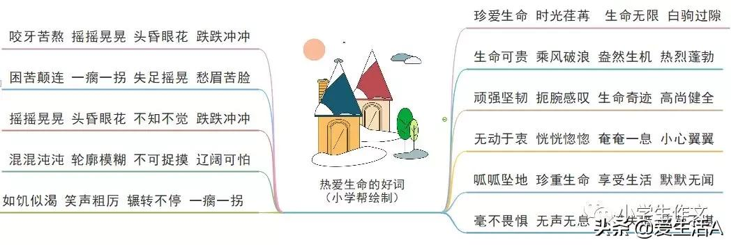 细节描写的段落摘抄（人物细节描写的优美段落）
