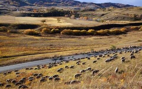 渔家傲秋思范仲淹诗词赏析（渔家傲秋思的主旨是什么）