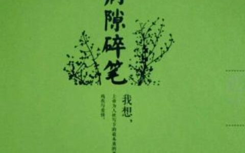 病隙碎笔读后感600字