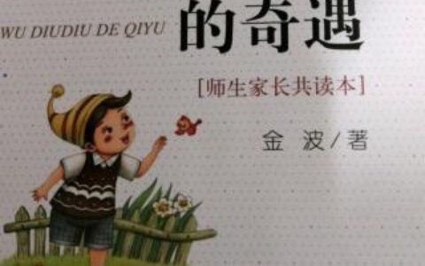 乌丢丢的奇遇记读后感500字五年级