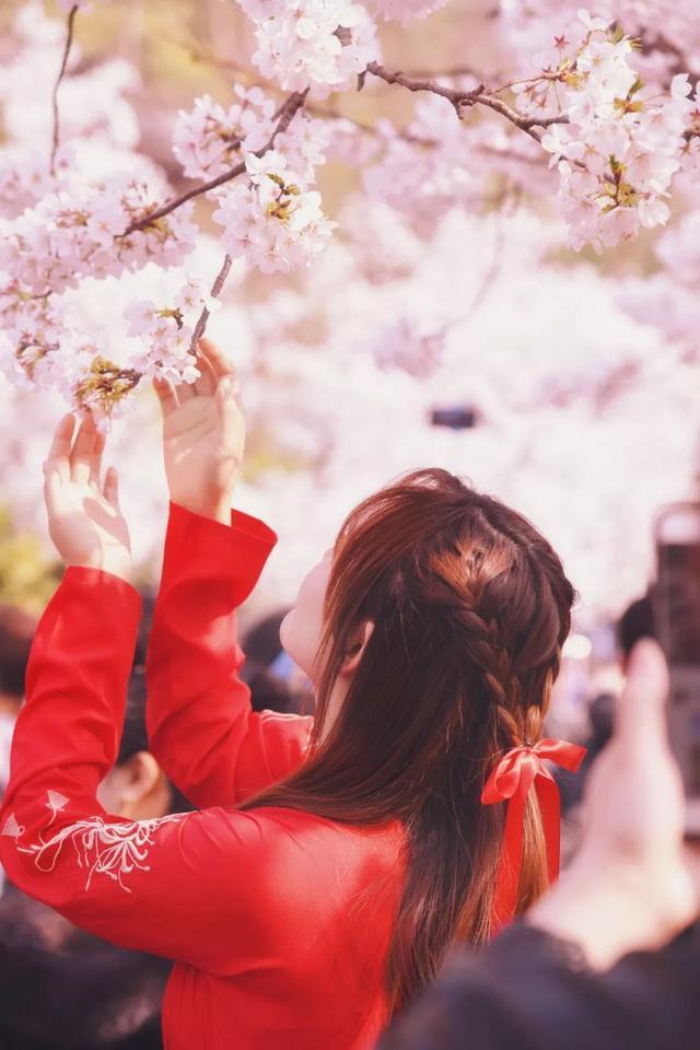 结婚古诗词经典名句（祝贺婚礼的祝福语古诗）