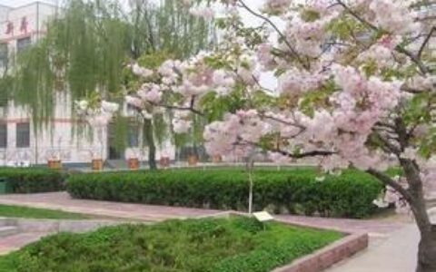 描写校园的优美语句（形容新学校的优美句子）