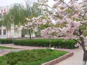 描写校园的优美语句（形容新学校的优美句子）
