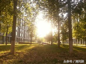 描写校园的优美语句（形容新学校的优美句子）