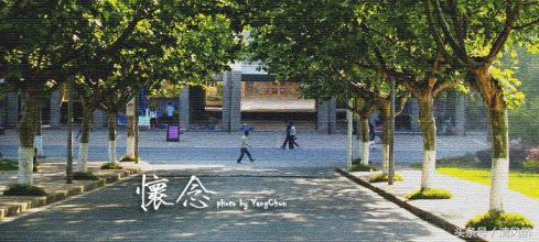 描写校园的优美语句（形容新学校的优美句子）