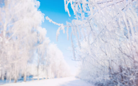 书江西造口壁古诗赏析（古诗词菩萨蛮书江西造口壁）