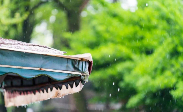 形容春雨的诗句有哪些（关于春雨的古诗词句）