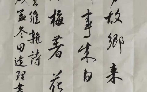 杂诗十二首其一陶渊明（古诗全文跟注释）