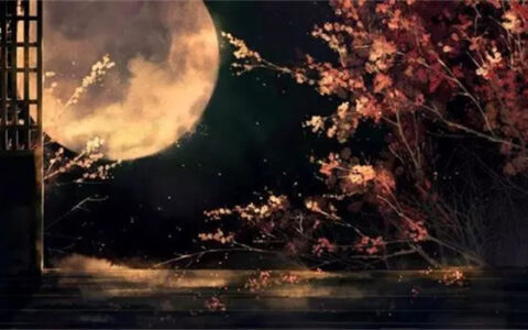 吸引人的交友句子（吸引异性的交友短语）