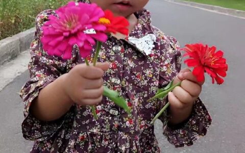 失去小生命的痛苦句子（附：写给不得不流产的宝宝简短说说）