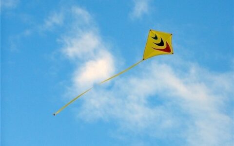 感悟人生百态的句子（人生百态句子最适合发朋友圈）