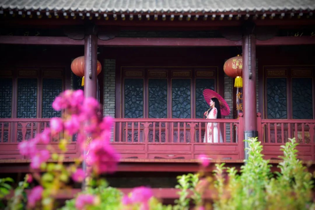 踏青赏花的诗句春天（描写春天赏花的诗句）