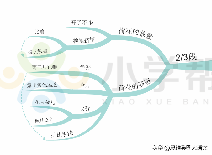 我的植物朋友作文教案（我的植物朋友优秀范文）