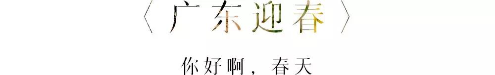 迎春花的样子描写（关于迎春花的优美词句）