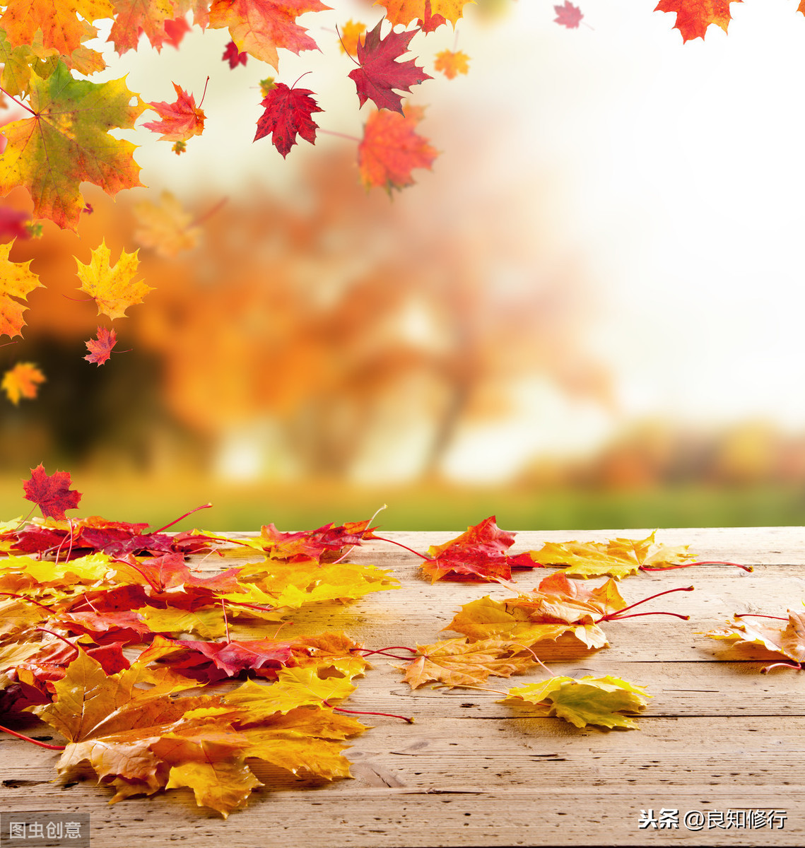 描写秋景的古诗大全（秋天景色古诗15首）