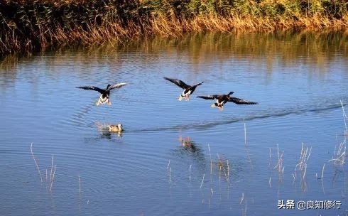 描写秋景的古诗大全（秋天景色古诗15首）