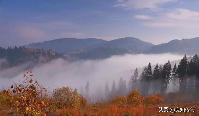 描写秋景的古诗大全（秋天景色古诗15首）