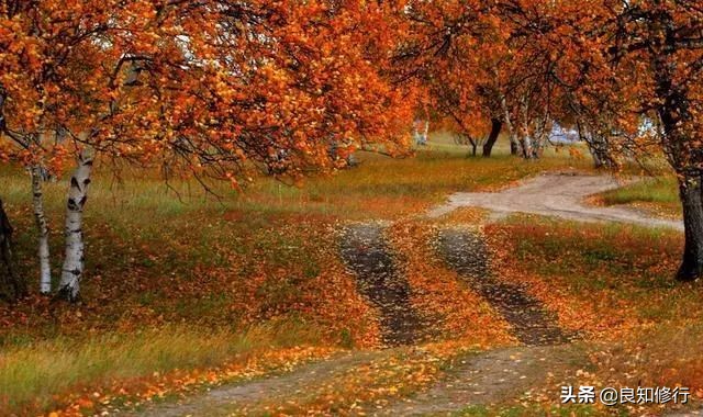 描写秋景的古诗大全（秋天景色古诗15首）