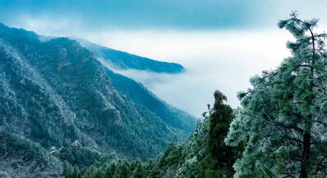 形容风景的诗句（关于大自然美景的诗句）