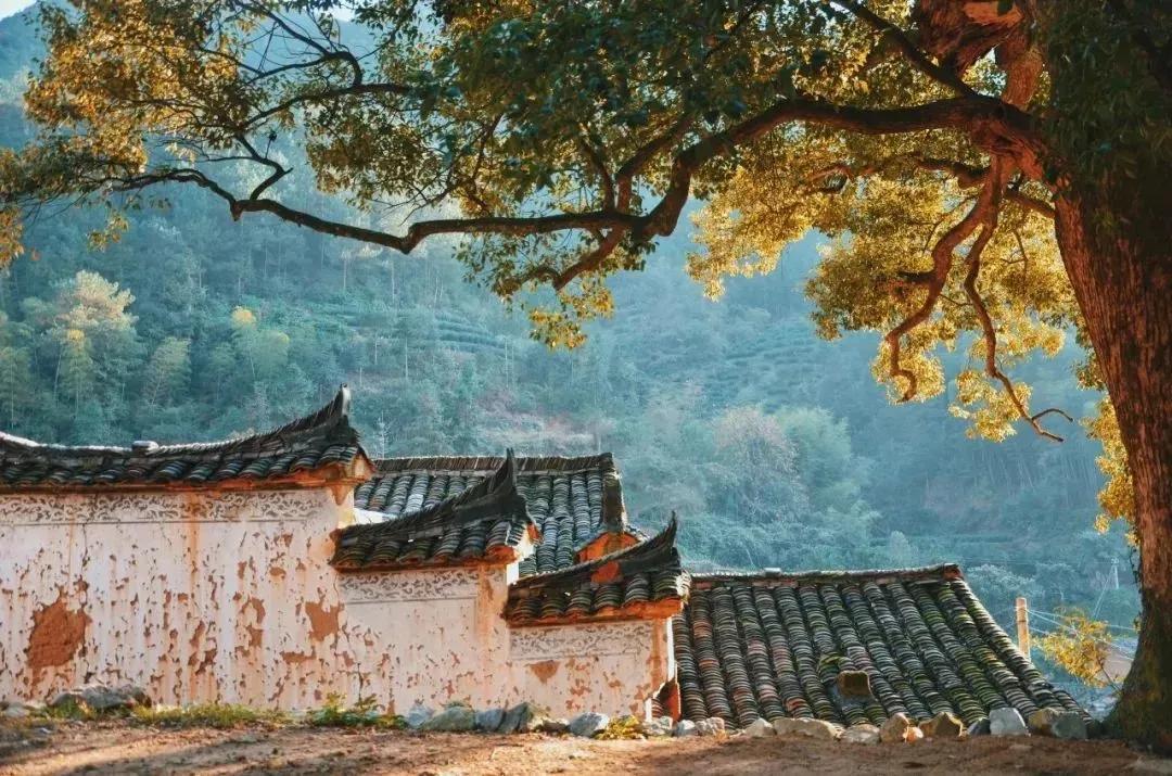 关于读书的诗句名言（有冲劲的正能量句子）